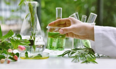 It is a Long Established Fact Quran Teaching